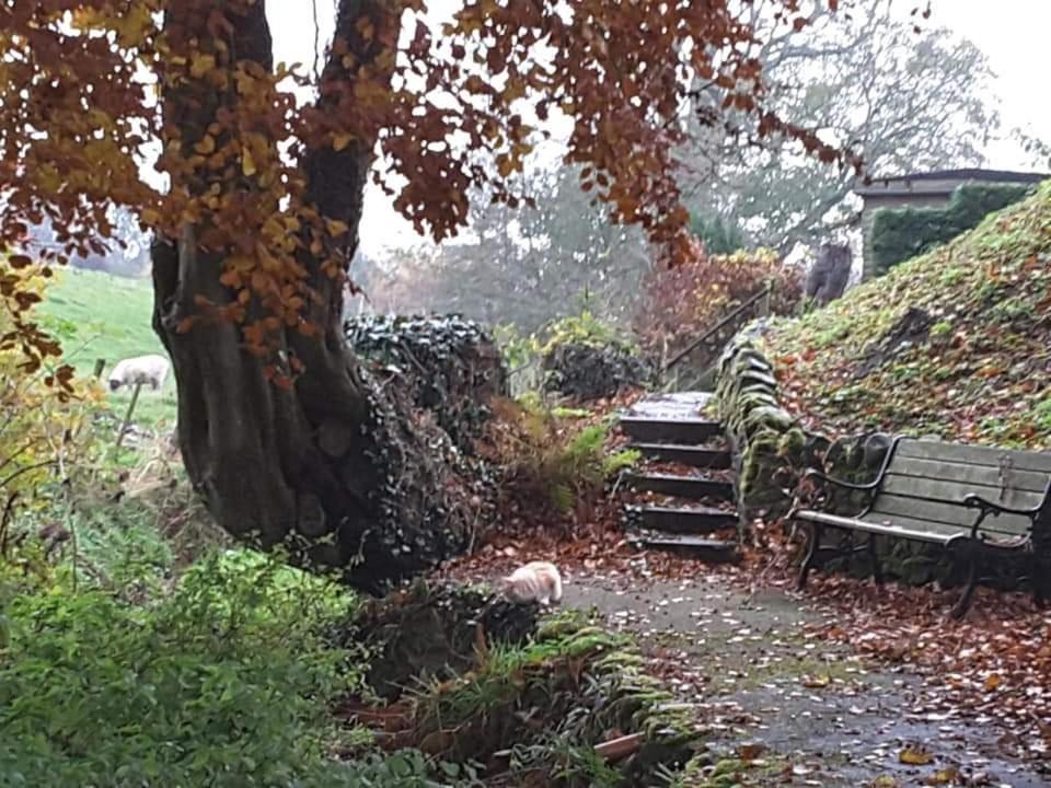 Relax In A 1 Bedroom Near A Country Pub