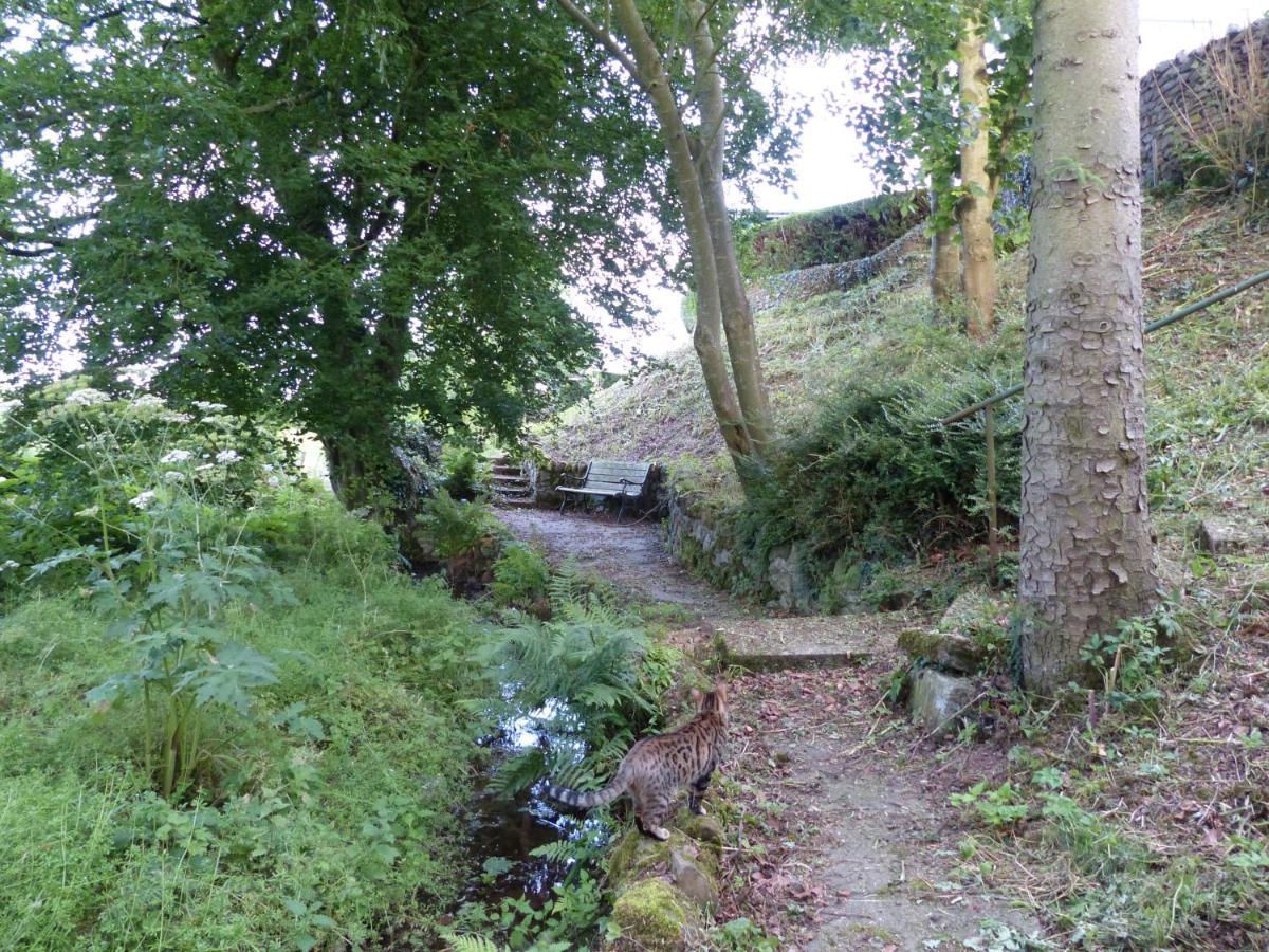 Apartment Relax In A 1 Bedroom Near A Country Pub *